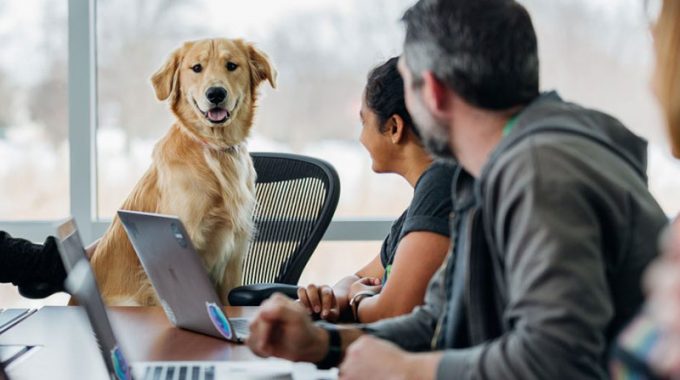 Recruter Mode D'emploi